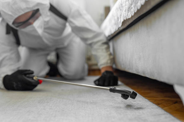 Professional Pest Control technician working in Clark County County, AR
